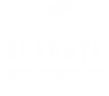 seagate logo white