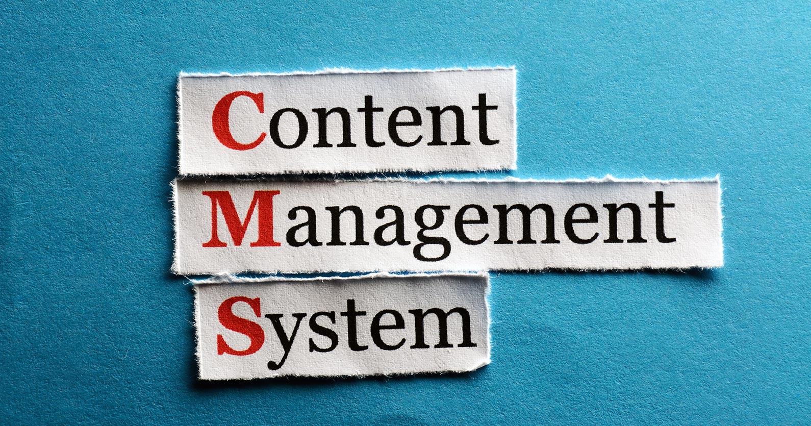 Image showing the words Content Management System on a blue background