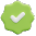 icon check green
